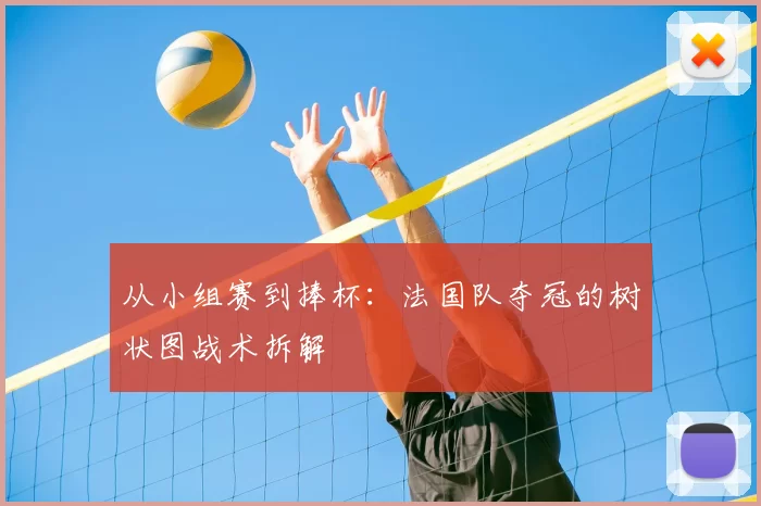 从小组赛到捧杯:法国队夺冠的树状图战术拆解