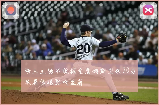 湖人主场不敌掘金詹姆斯空砍30分浓眉伤退影响显著