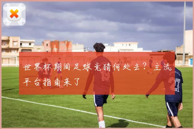 世界杯期间足球竞猜何处去？主流平台指南来了