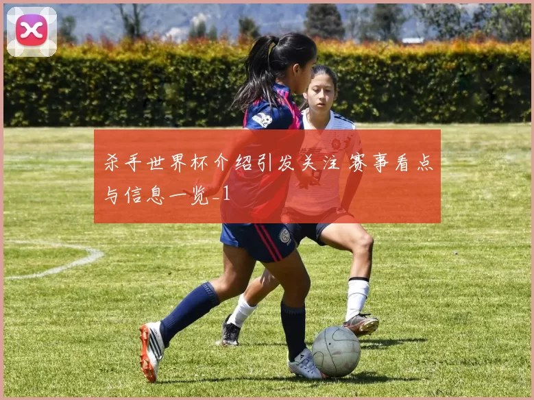 杀手世界杯介绍引发关注 赛事看点与信息一览_1