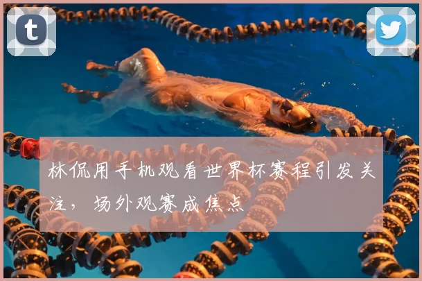 林侃用手机观看世界杯赛程引发关注,场外观赛成焦点