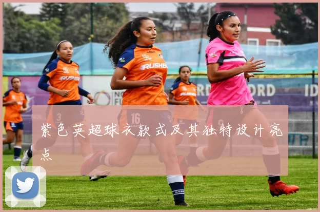 紫色英超球衣款式及其独特设计亮点