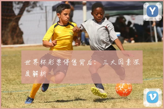 世界杯彩票停售背后：三大因素深度解析