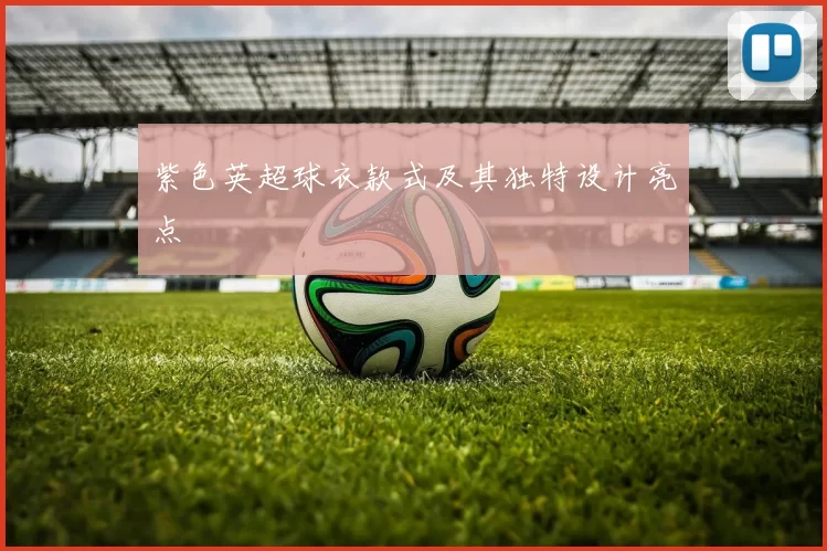 紫色英超球衣款式及其独特设计亮点