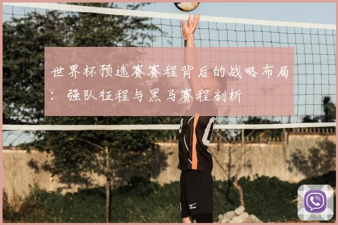 世界杯预选赛赛程背后的战略布局：强队征程与黑马赛程剖析
