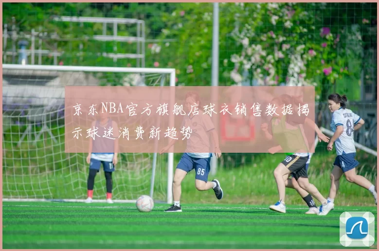京东NBA官方旗舰店球衣销售数据揭示球迷消费新趋势