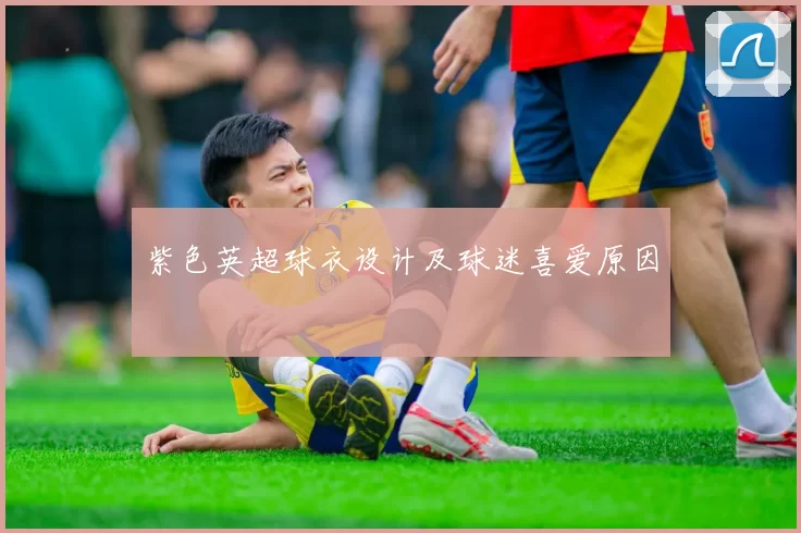 紫色英超球衣设计及球迷喜爱原因