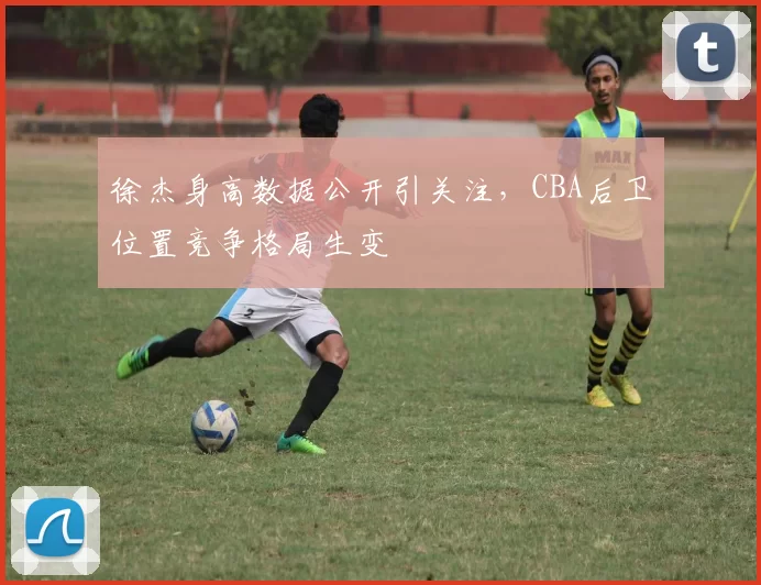 徐杰身高数据公开引关注，CBA后卫位置竞争格局生变