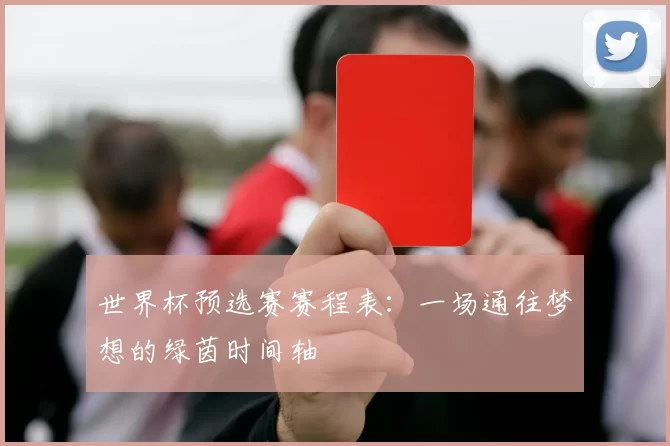 世界杯预选赛赛程表：一场通往梦想的绿茵时间轴