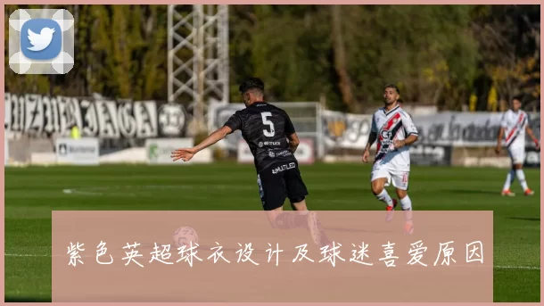 紫色英超球衣设计及球迷喜爱原因