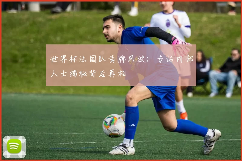 世界杯法国队黄牌风波:专访内部人士揭秘背后真相