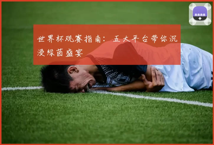 世界杯观赛指南：五大平台带你沉浸绿茵盛宴